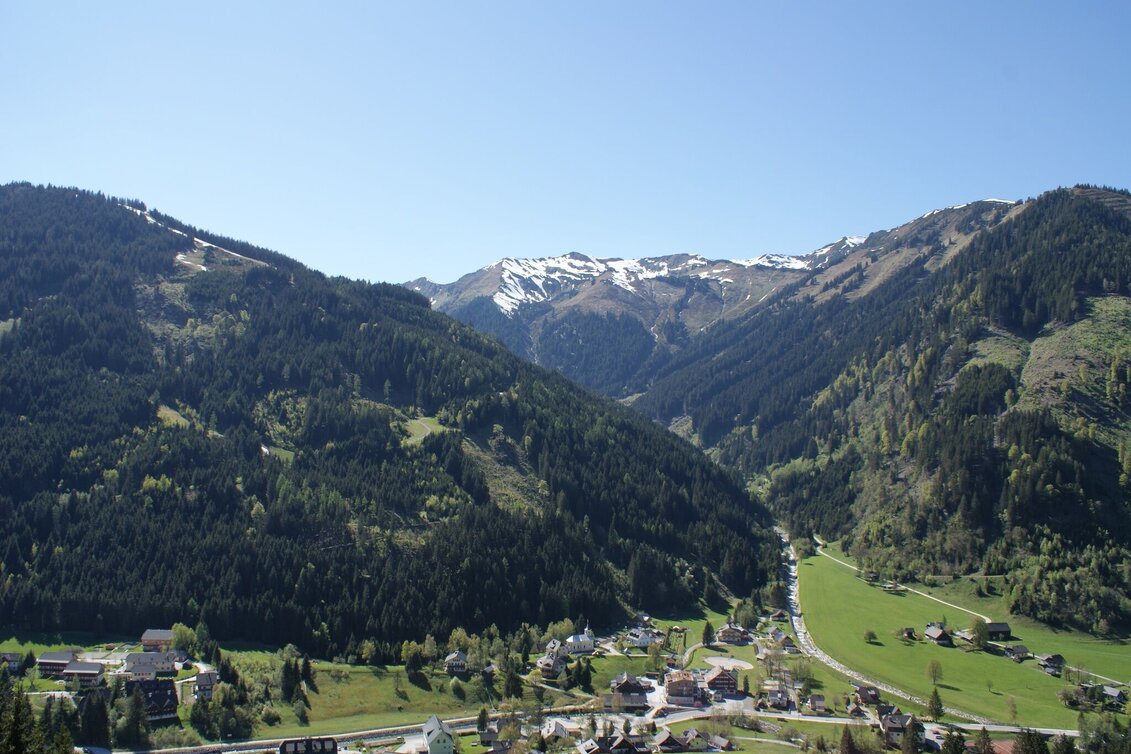 Trailrunning Stegerwald Trail - Touren-Impression #1 | © Erlebnisregion Schladming-Dachstein