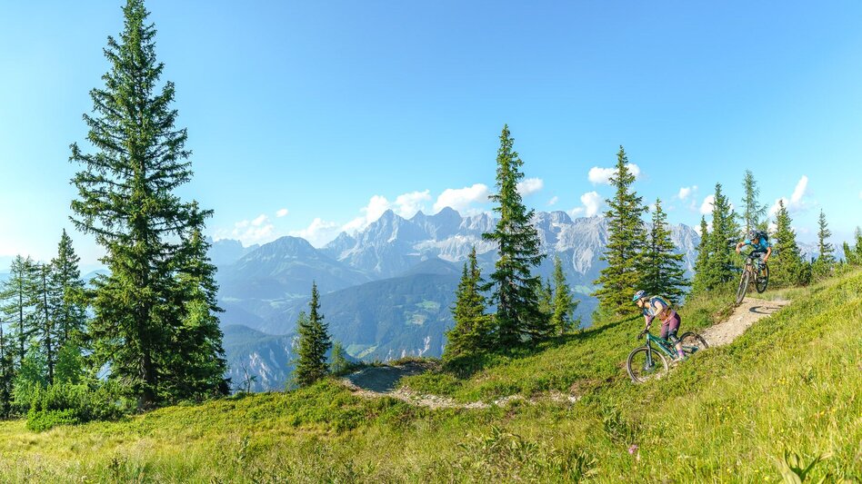 Singletrail Gassl Trail | 103 - Touren-Impression #2.3 | © Erlebnisregion Schladming-Dachstein