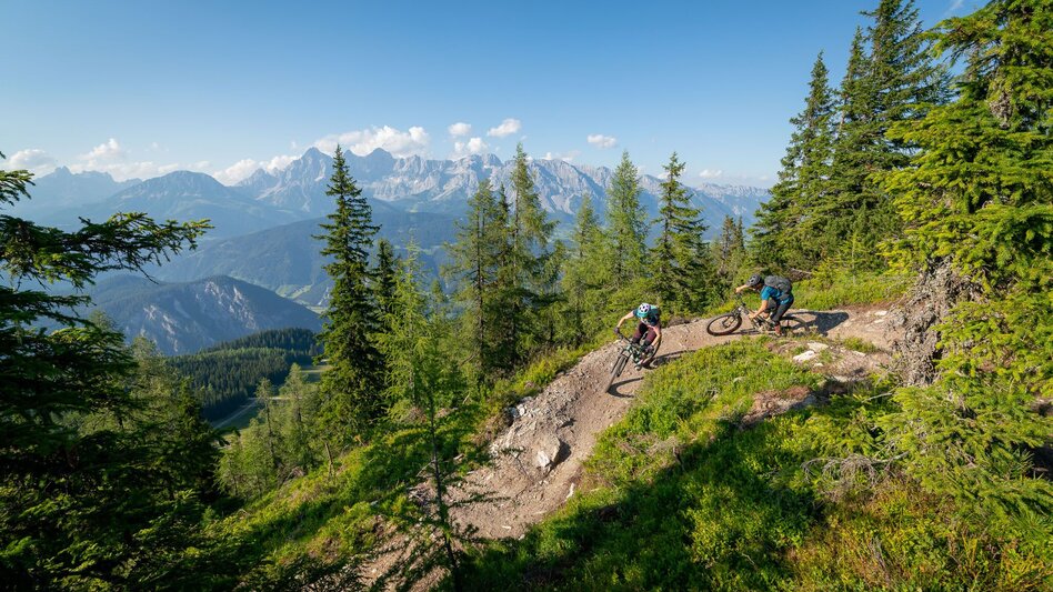 Singletrail Gassl Trail | 103 - Touren-Impression #2.5 | © Erlebnisregion Schladming-Dachstein
