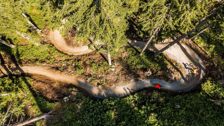 Singletrail Schnepfenwald Trail | 102 - Touren-Impression #2.2 | © Erlebnisregion Schladming-Dachstein