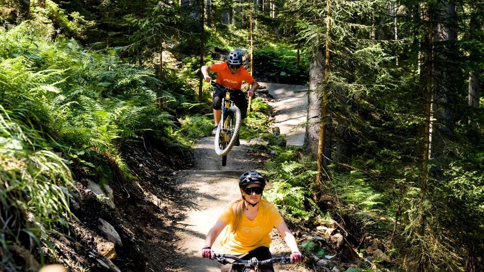 Singletrail Schnepfenwald Trail | 102 - Touren-Impression #2.3 | © Erlebnisregion Schladming-Dachstein