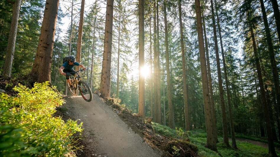 Singletrail Schnepfenwald Trail | 102 - Touren-Impression #2.4 | © Erlebnisregion Schladming-Dachstein