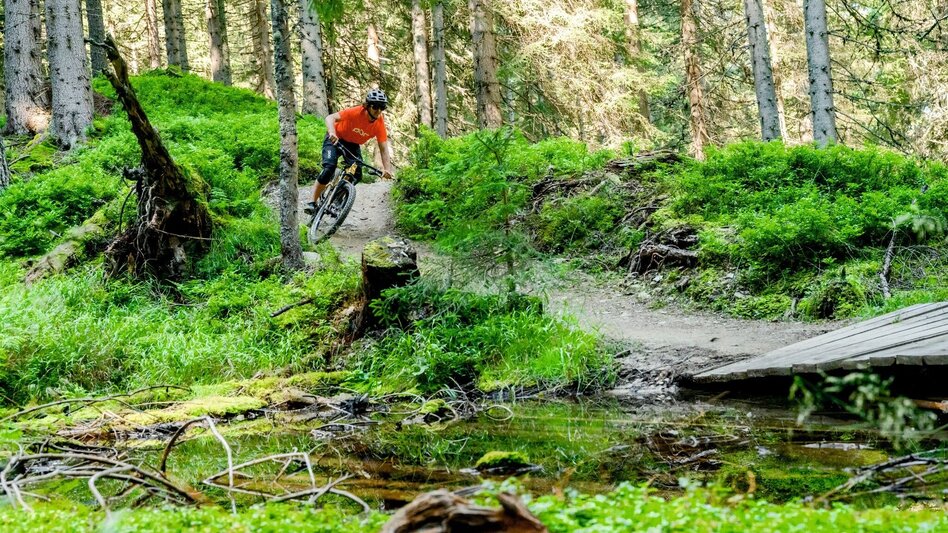 Singletrail Hochalm Trail | 104 - Touren-Impression #2.1 | © Erlebnisregion Schladming-Dachstein
