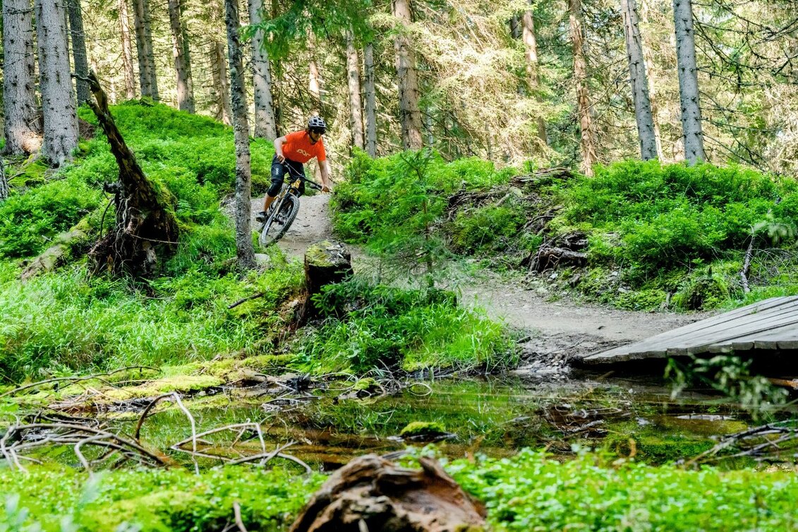 Singletrail Hochalm Trail | 104 - Touren-Impression #1 | © Erlebnisregion Schladming-Dachstein