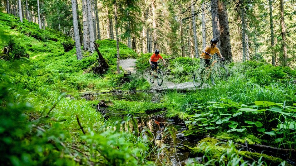 Singletrail Hochalm Trail | 104 - Touren-Impression #2.3 | © Erlebnisregion Schladming-Dachstein