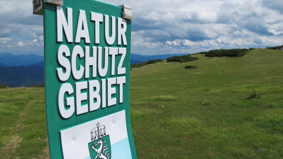 Mountain Hike Edelweissboden - Touren-Impression #2.3 | © TV HerzBergLand