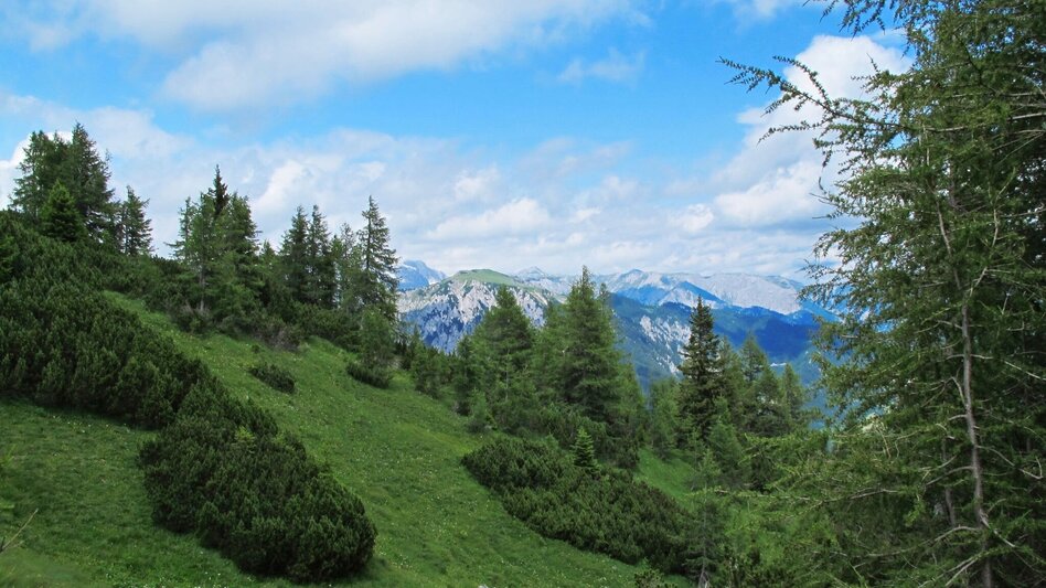 Mountain Hike Edelweissboden - Touren-Impression #2.6 | © TV ERZBERG LEOBEN