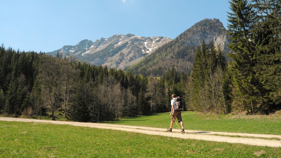 Hiking route Marmot hike - Touren-Impression #2.3 | © TV ERZBERG LAND