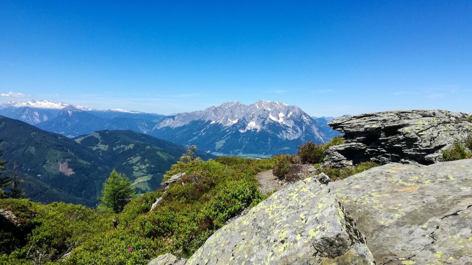 Mountain Hike Mölbegg - Touren-Impression #2.4 | © Erlebnisregion Schladming-Dachstein