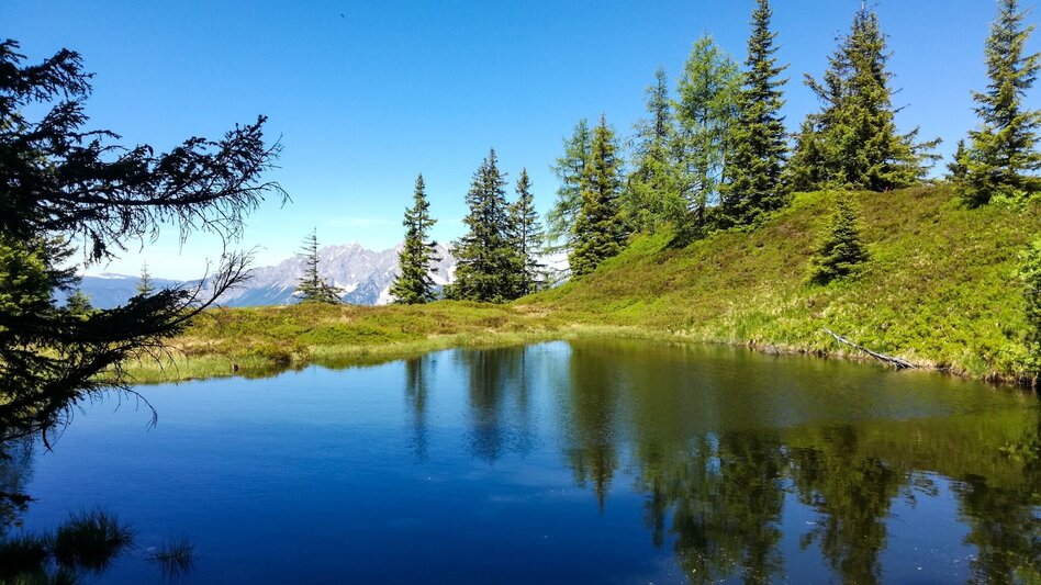 Mountain Hike Mölbegg - Touren-Impression #2.5 | © Erlebnisregion Schladming-Dachstein