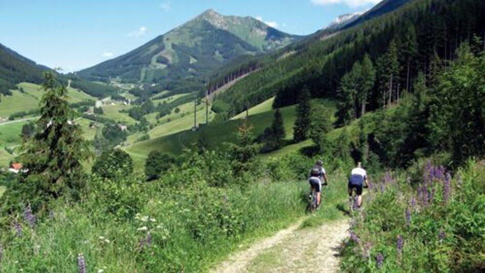 Mountainbike MTB Vordernberg LN 5 - Touren-Impression #2.3 | © Tourismusverband ERZBERG LEOBEN