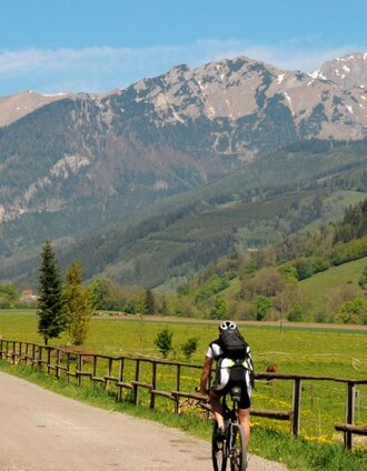 LN 2 - Panorama Bike | Marina Weitzer | © Tourismusverband ERZBERG LEOBEN