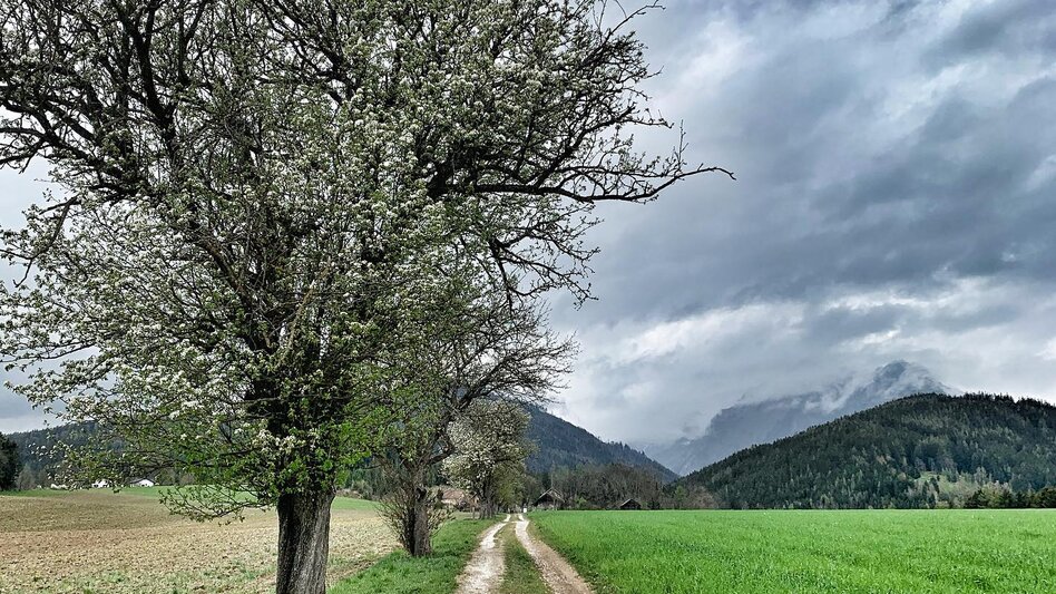 Radfahren Panorama Bike LN 2 - Touren-Impression #2.4 | © Tourismusverband ERZBERG LEOBEN