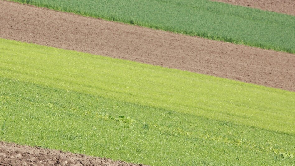 Radfahren Panorama Bike LN 2 - Touren-Impression #2.6 | © Tourismusverband ERZBERG LEOBEN