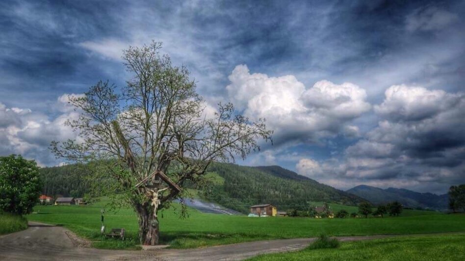 Radfahren Panorama Bike LN 2 - Touren-Impression #2.9 | © Tourismusverband ERZBERG LEOBEN