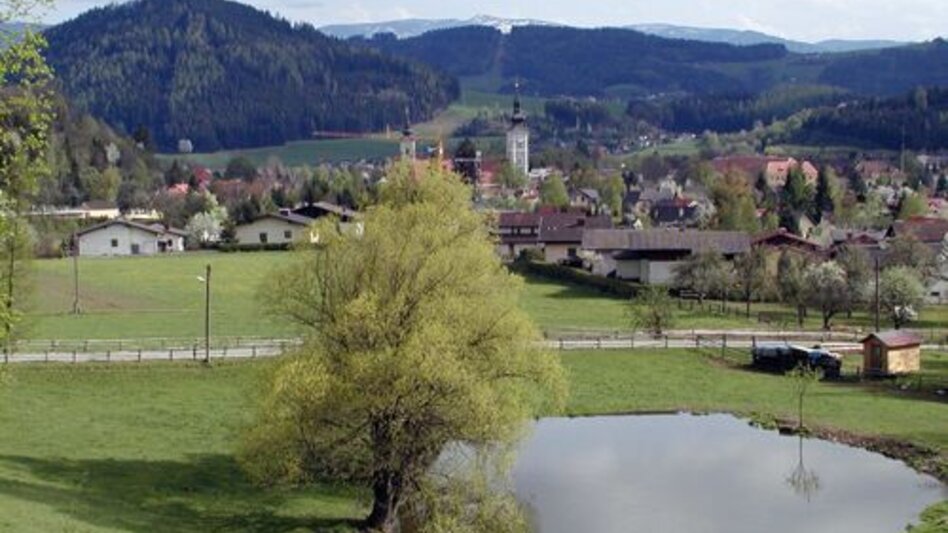 Mountainbike Panorama Extra LN 2a - Touren-Impression #2.1 | © Tourismusverband ERZBERG LEOBEN