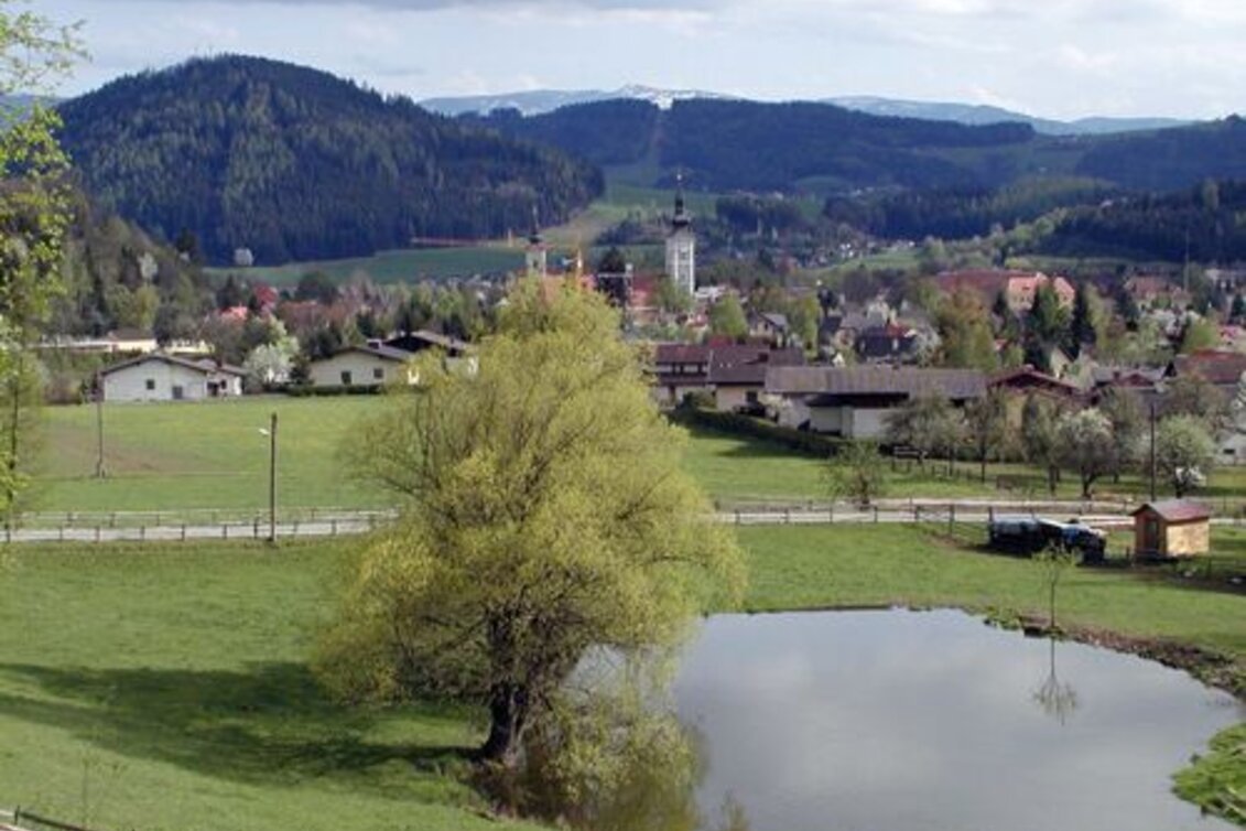 Mountainbike Panorama Extra LN 2a - Touren-Impression #1 | © Tourismusverband ERZBERG LEOBEN