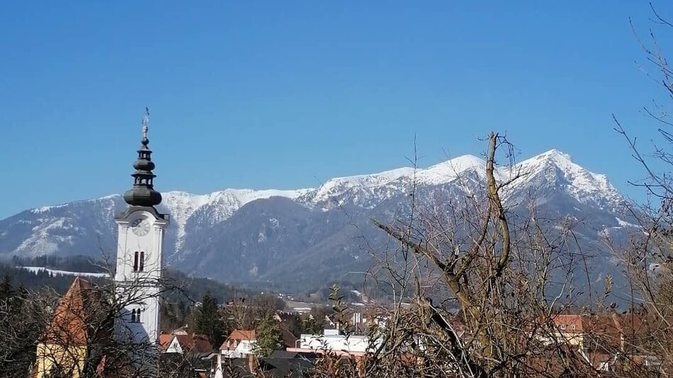 Mountainbike Panorama Extra LN 2a - Touren-Impression #2.2 | © Tourismusverband ERZBERG LEOBEN