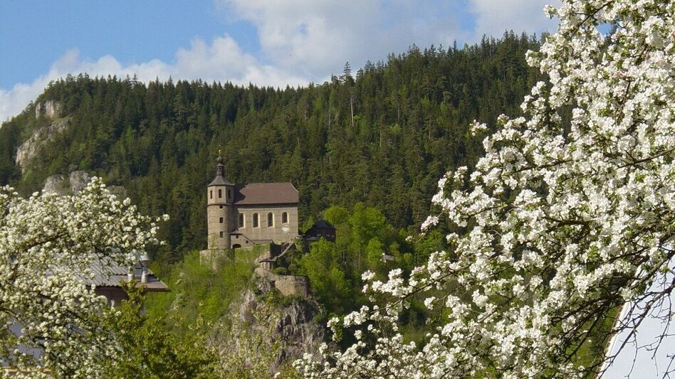 Mountainbike MTB  Tollinggraben LN 7a - Touren-Impression #2.4 | © Tourismusverband ERZBERG LEOBEN