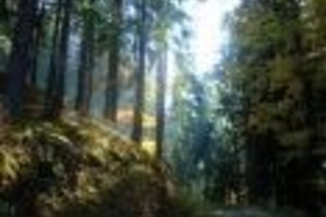 Mountainbike MTB Damhirsch LN 4 - Touren-Impression #1 | © Tourismusverband ERZBERG LEOBEN