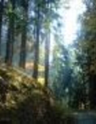 LN 4 Damhirsch MTB | Marina Weitzer | © Tourismusverband ERZBERG LEOBEN