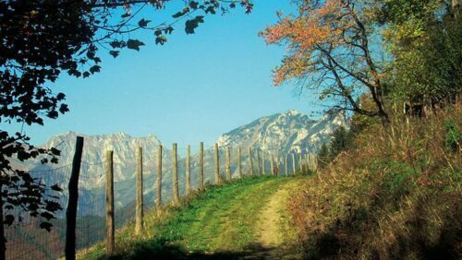 Mountainbike MTB Damhirsch LN 4 - Touren-Impression #2.2 | © Tourismusverband ERZBERG LEOBEN