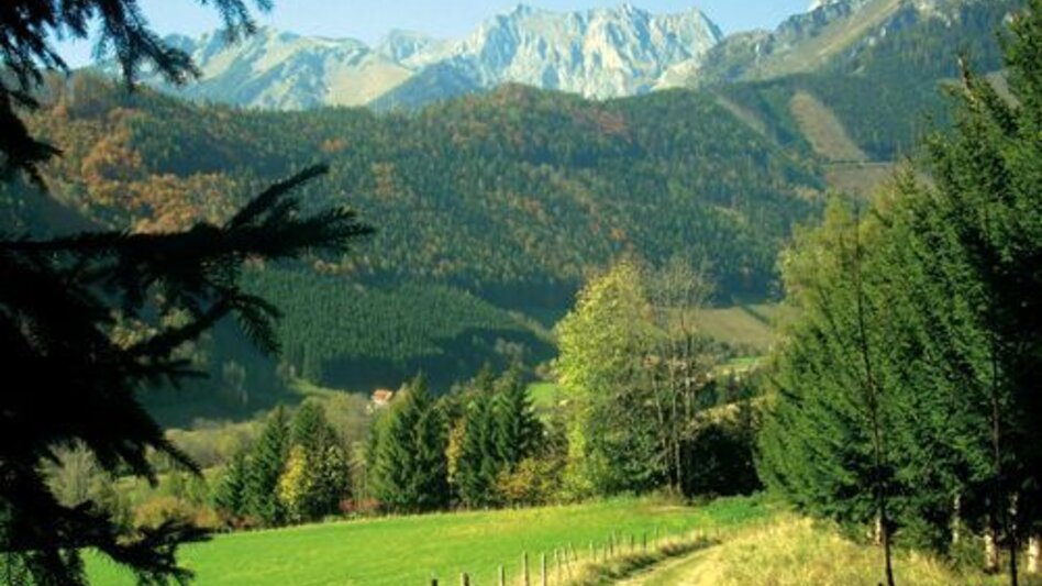 Mountainbike MTB Damhirsch LN 4 - Touren-Impression #2.3 | © Tourismusverband ERZBERG LEOBEN