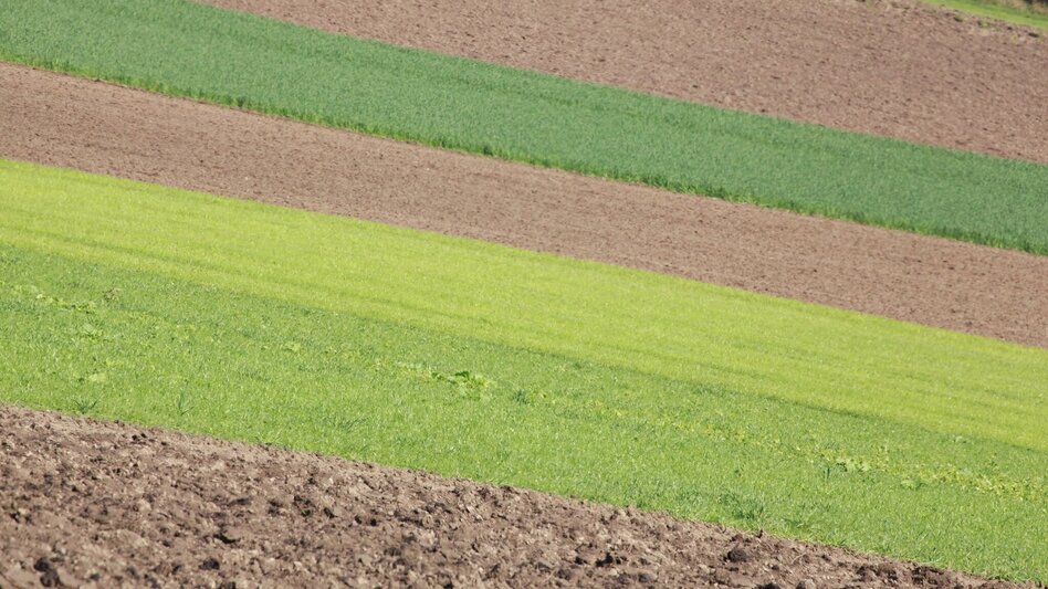 Mountainbike MTB Damhirsch LN 4 - Touren-Impression #2.4 | © Tourismusverband ERZBERG LEOBEN