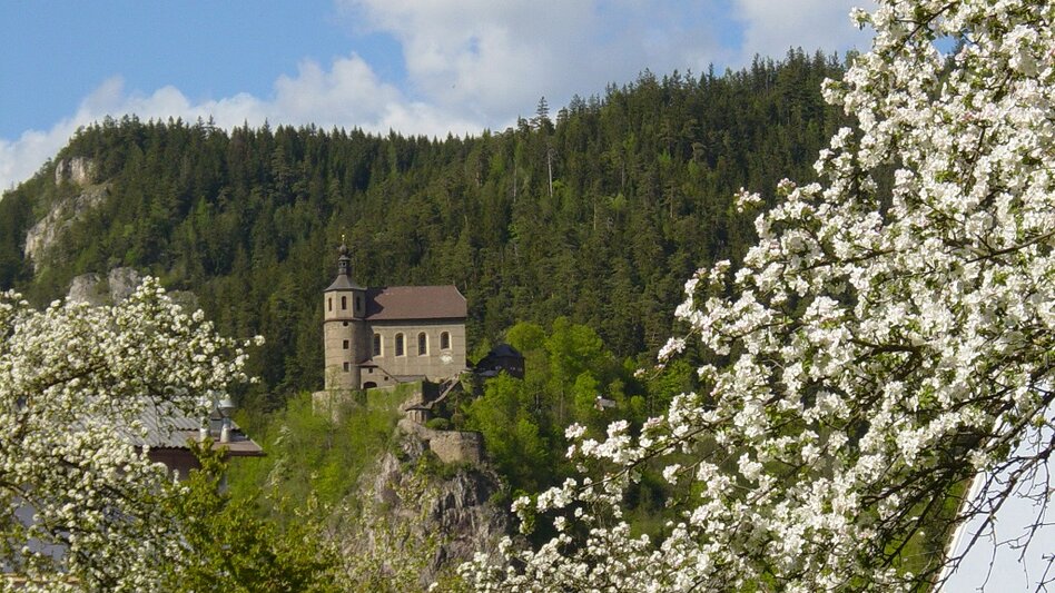 Radfahren Niederung LN 9 - Touren-Impression #2.5 | © Tourismusverband ERZBERG LEOBEN