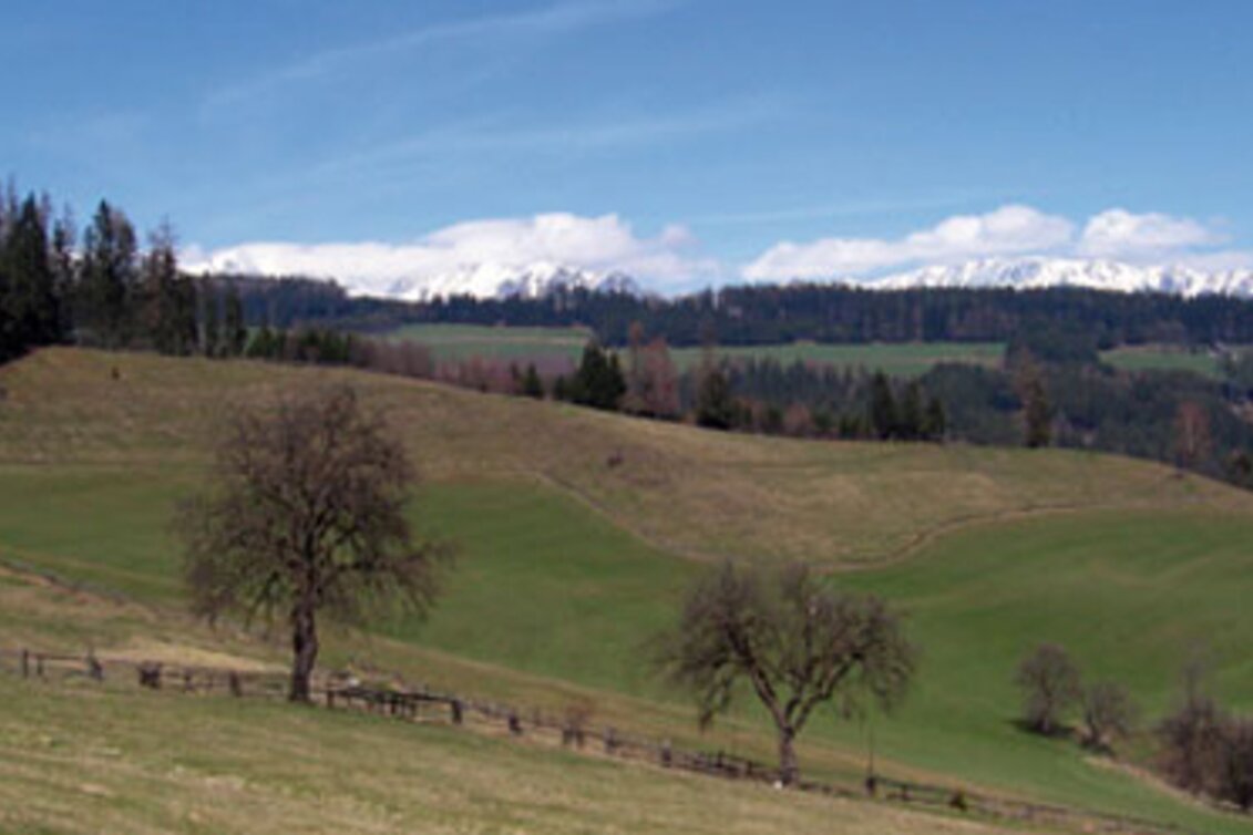Radfahren Niederung - Tal LN 9a - Touren-Impression #1 | © Tourismusverband ERZBERG LEOBEN