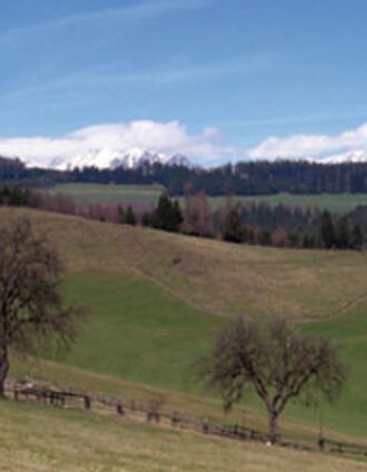 LN 9a - Niederung - Tal | Marina Weitzer | © Tourismusverband ERZBERG LEOBEN