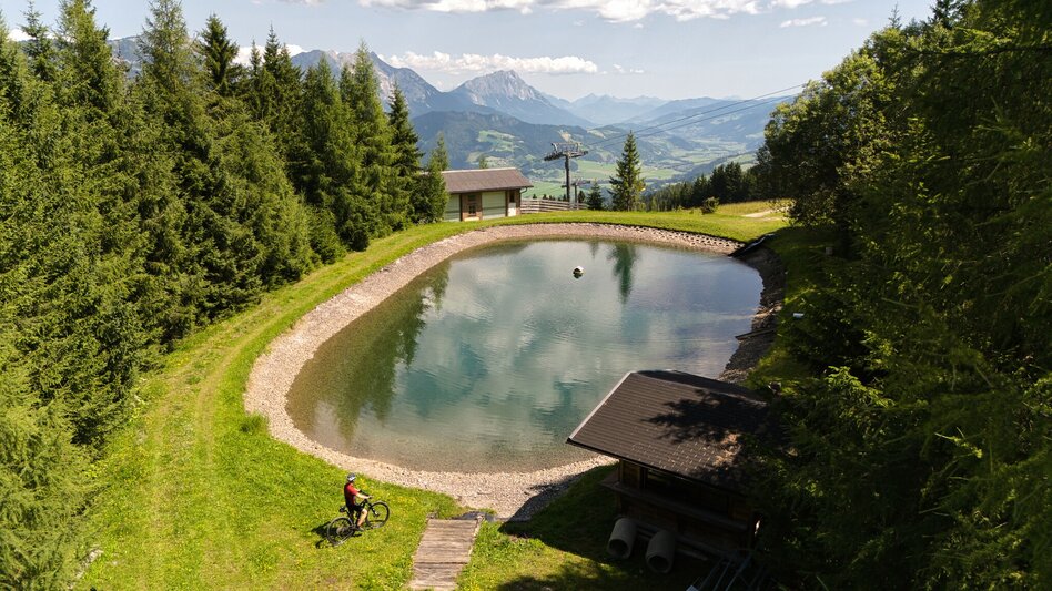 Mountainbike Gumpental Runde | 325 - Touren-Impression #2.5