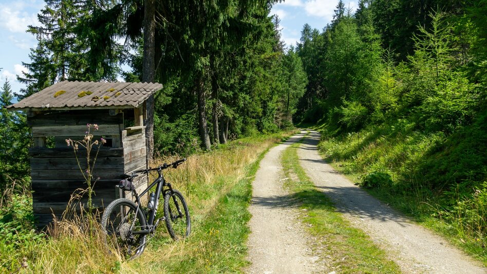 Mountainbike Gumpental Runde | 325 - Touren-Impression #2.6