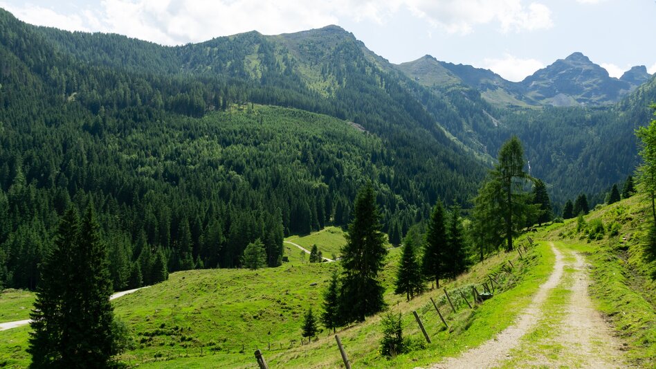 Mountainbike Gumpental Runde | 325 - Touren-Impression #2.7