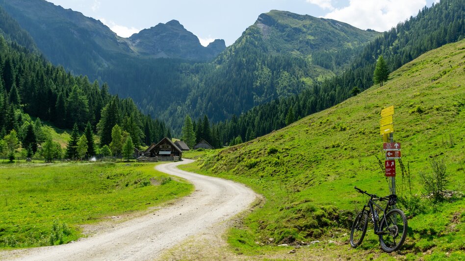 Mountainbike Gumpental Runde | 325 - Touren-Impression #2.8