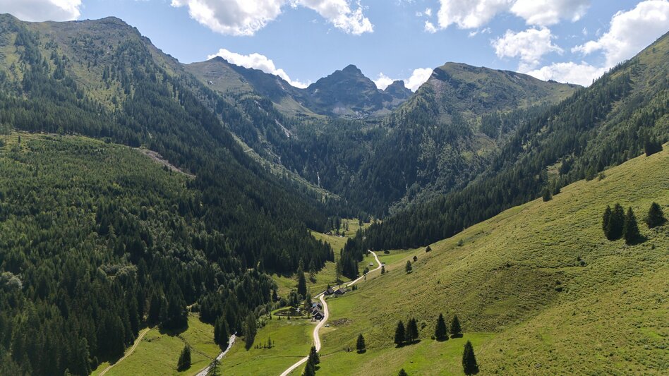 Mountainbike Gumpental Runde | 325 - Touren-Impression #2.9