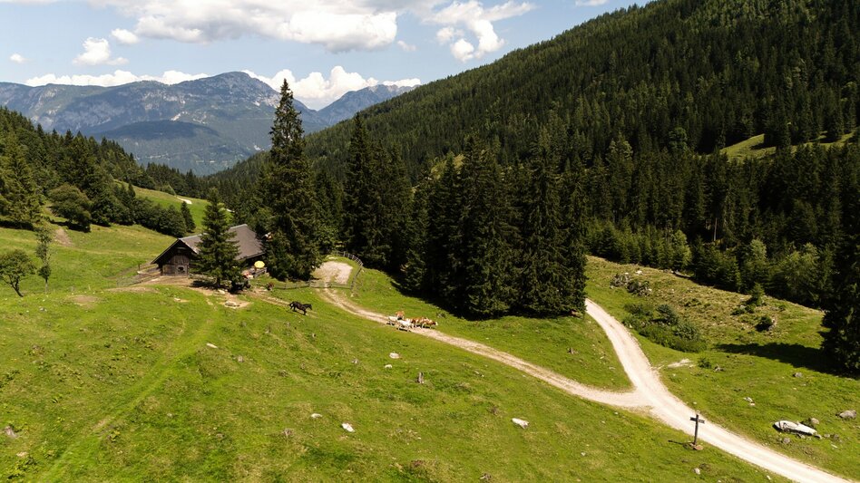 Mountainbike Gumpental Runde | 325 - Touren-Impression #2.10