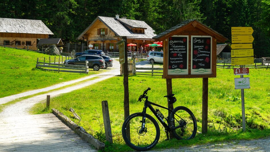 Mountainbike Gumpental Runde | 325 - Touren-Impression #2.11