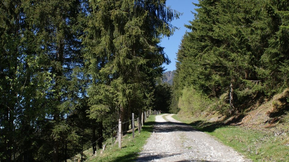 Wanderung Fischeralmweg - Touren-Impression #2.1 | © Erlebnisregion Schladming-Dachstein