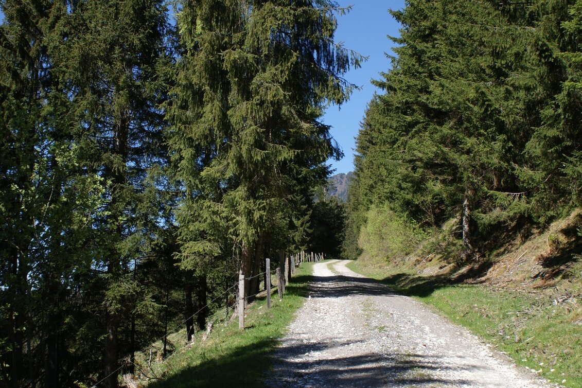 Wanderung Fischeralmweg - Touren-Impression #1 | © Erlebnisregion Schladming-Dachstein