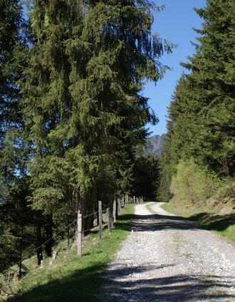 Along the Fischeralmweg | © Erlebnisregion Schladming-Dachstein