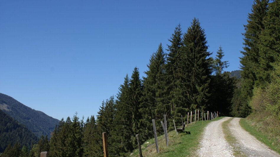 Wanderung Fischeralmweg - Touren-Impression #2.2 | © Erlebnisregion Schladming-Dachstein