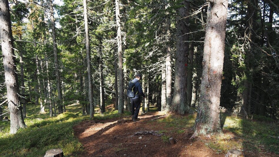 Hiking route Thalerkogel - Touren-Impression #2.3 | © Tourismusverband ERZBERG LEOBEN