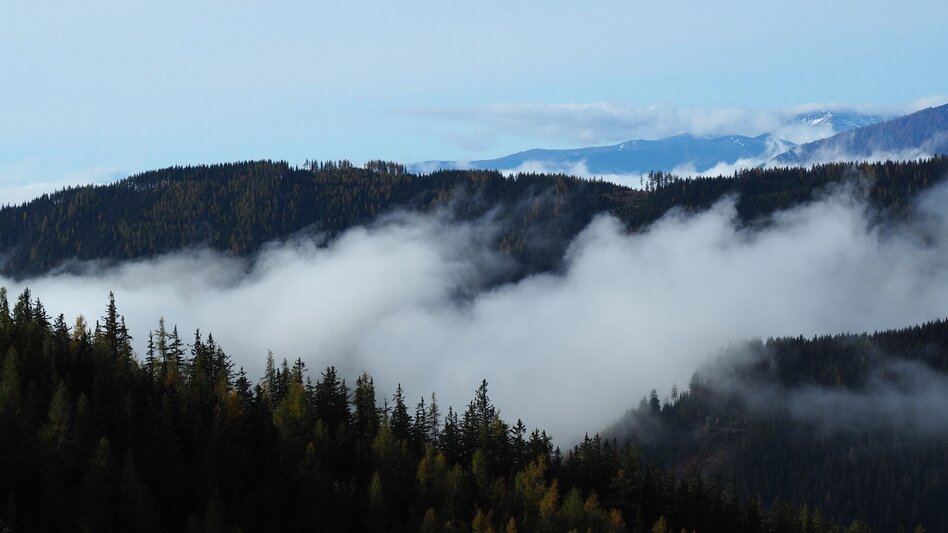 Hiking route Thalerkogel - Touren-Impression #2.5 | © Tourismusverband ERZBERG LEOBEN