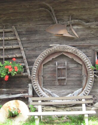 lupinen trail_img_3839738 | Birgit Kandlbauer | © Heimathaus Wenigzell, Gemeinde Wenigzell