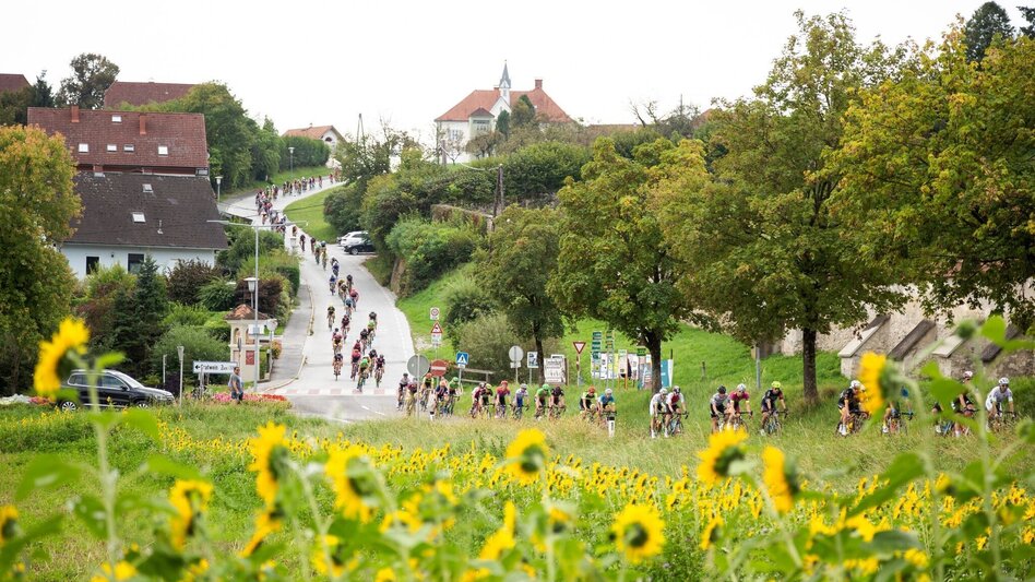Bike Riding In the slipstream of the pros - Touren-Impression #2.3 | © Region Graz