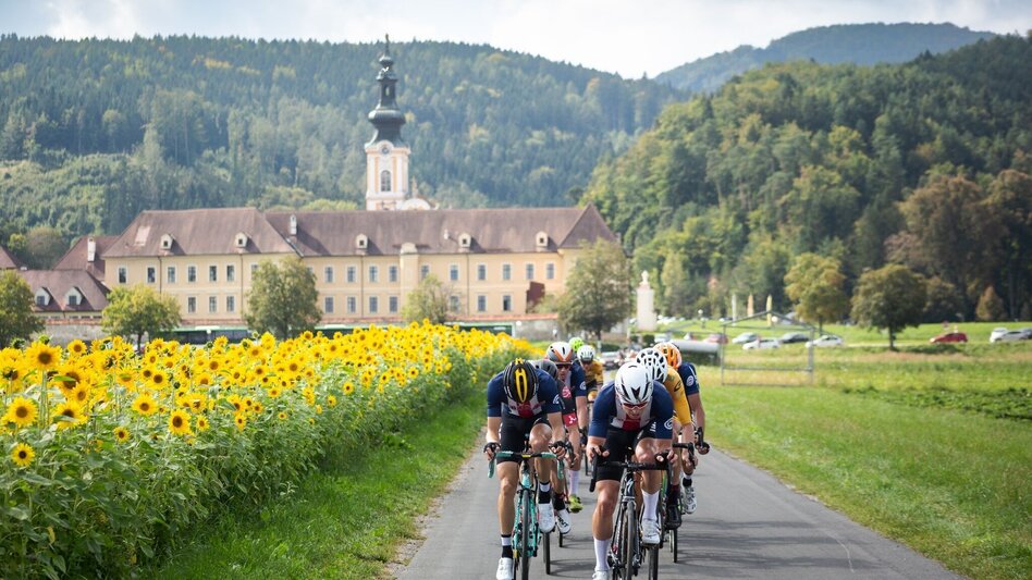 Bike Riding In the slipstream of the pros - Touren-Impression #2.4 | © Region Graz