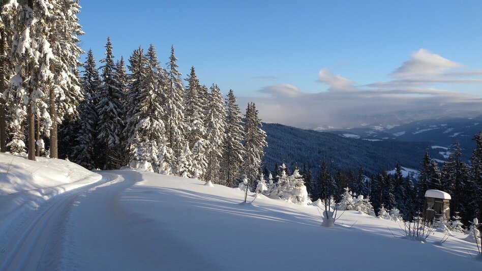 Ski-nordic-classic Teufelstein hiking trail, Fischbach - Touren-Impression #2.1 | © Johann Zink