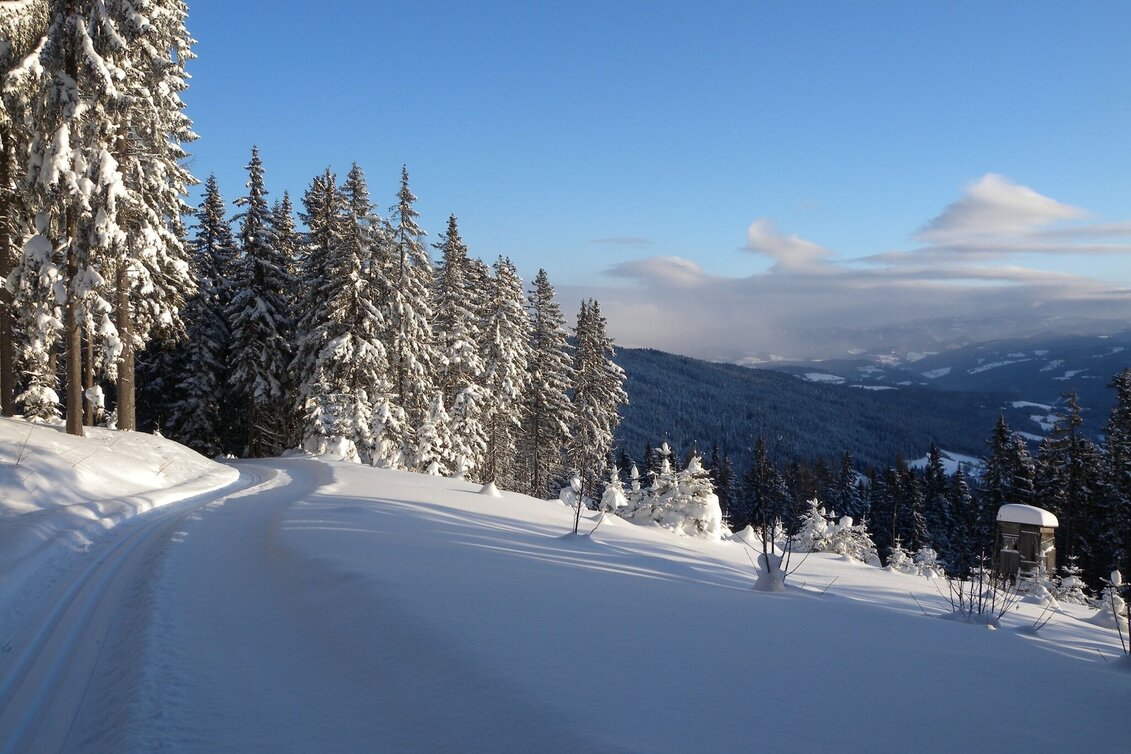 Ski-nordic-classic Teufelstein hiking trail, Fischbach - Touren-Impression #1 | © Johann Zink