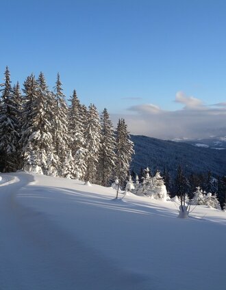Teufelstein - Wanderloipe | Marianne Dornhofer | © Johann Zink